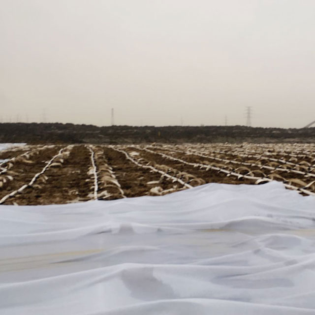 Impervious Geo-textile