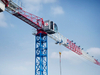 Self-Raising topless Tower Crane QTP250 construction machine