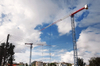 Self-Raising topless Tower Crane QTP250 construction machine