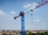 Self-Raising topless Tower Crane QTP250 construction machine